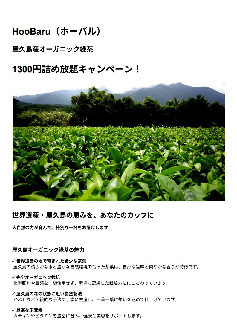 鹿児島県・緑茶生産「日本一」記念!緑茶詰め放題キャンペーン商品