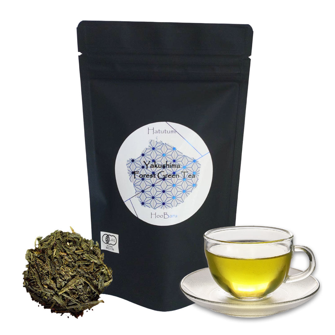 森の緑茶（初摘み/茶葉 40ｇ）
