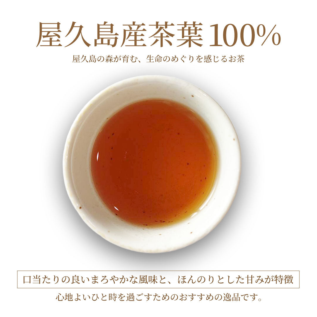 森の紅茶（プレーン/茶葉40g）
